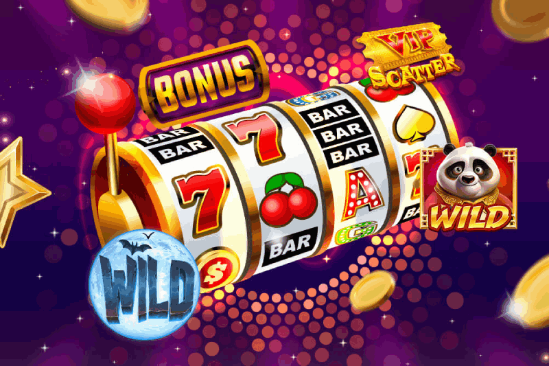 lưu ý khi sử dụng wild scatter và bonus
